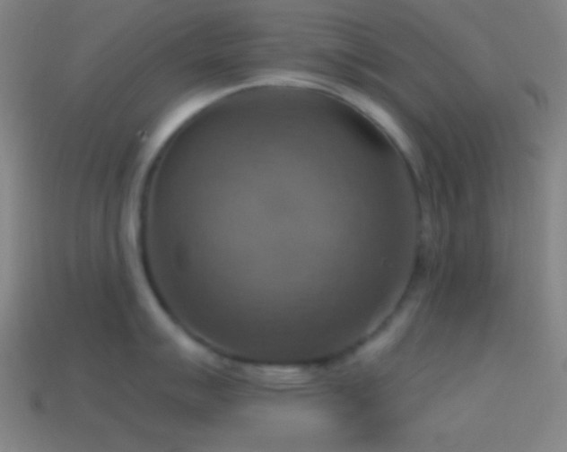 X0000114421007200910161224