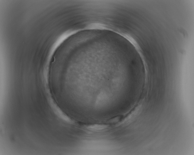 X0000114421008200910161224