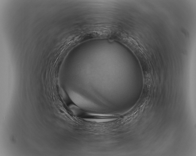 X0000114421009200910161223