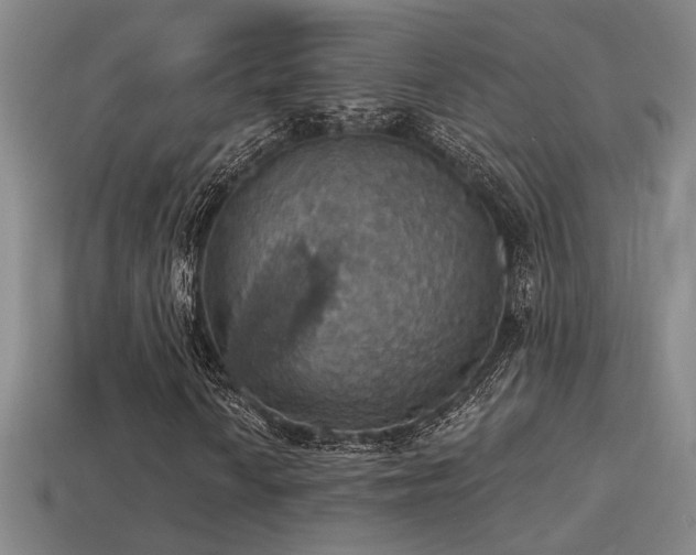 X0000114421010200910161223