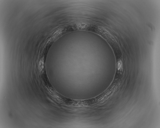 X0000114421011200910161223