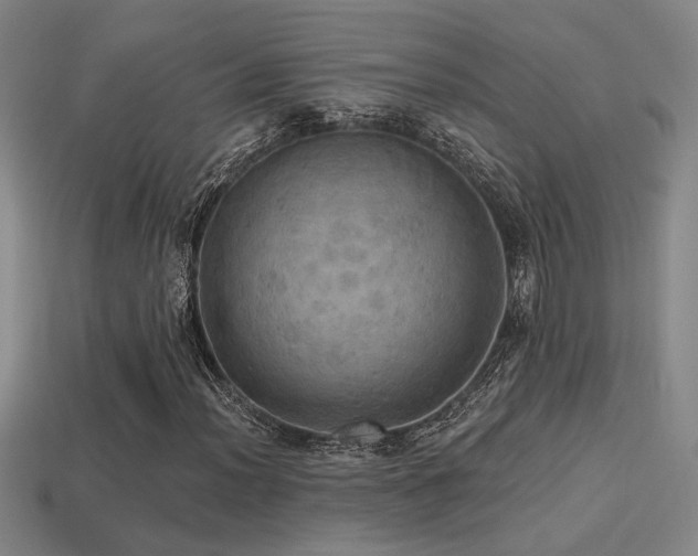 X0000114421012200910161223