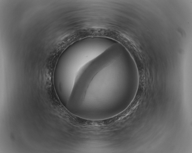 X0000114421013200910161223