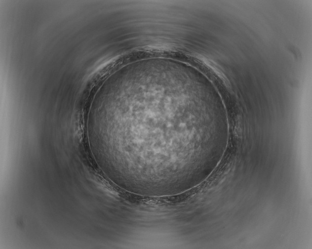 X0000114421015200910161223