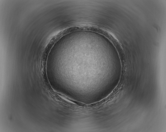 X0000114421016200910161224