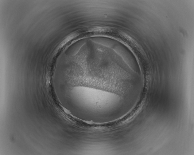 X0000114421017200910161224