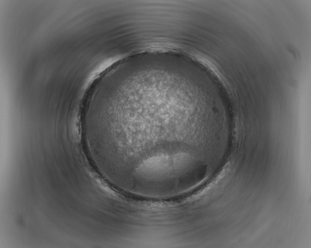 X0000114421018200910161224