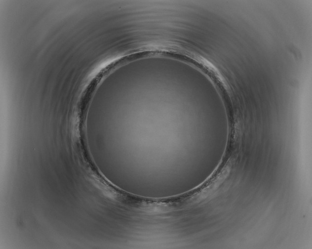 X0000114421019200910161224