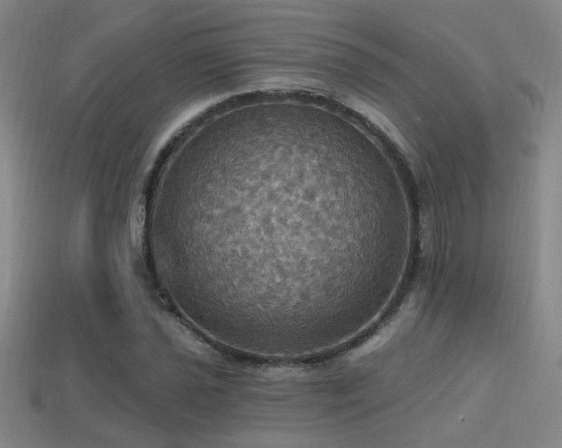 X0000114421021200910161224
