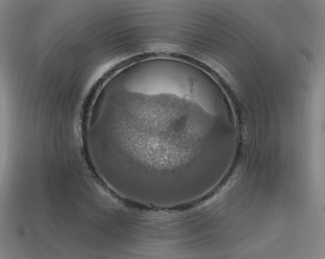 X0000114421022200910161224