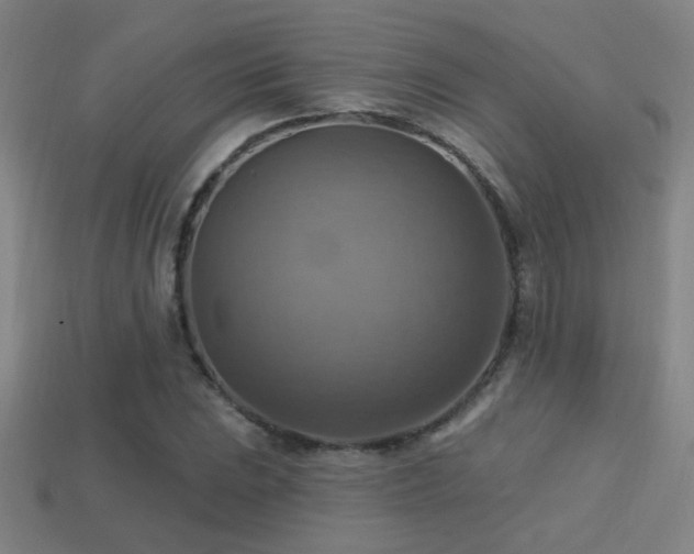 X0000114421023200910161224