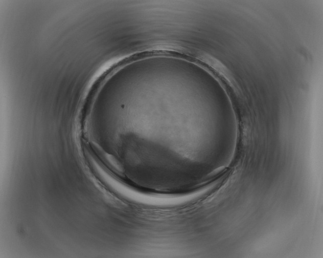 X0000114421024200910161224