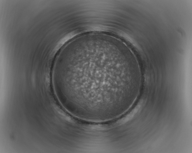 X0000114421025200910161224