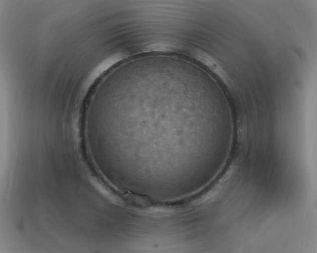 X0000114421026200910161224