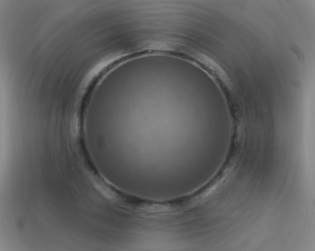 X0000114421027200910161224