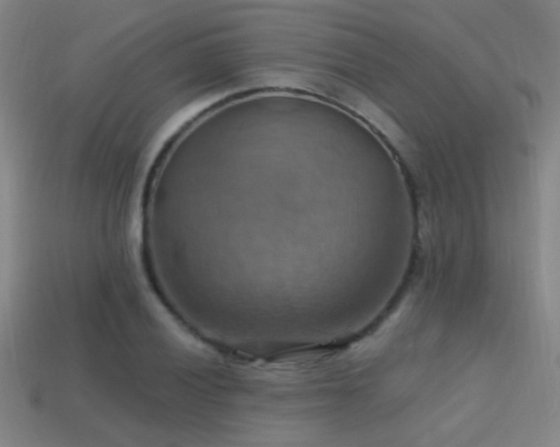 X0000114421028200910161224
