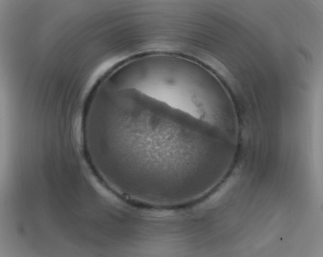 X0000114421030200910161224