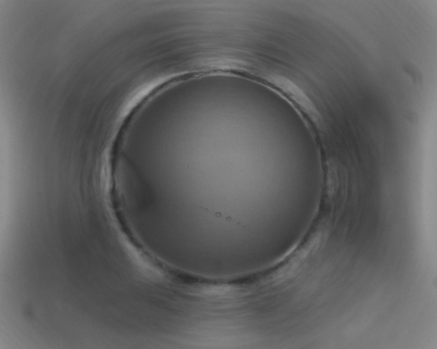 X0000114421031200910161224