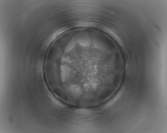 X0000114421033200910161224