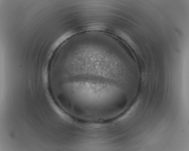 X0000114421034200910161224