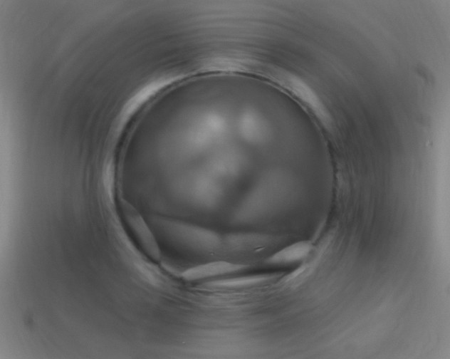X0000114421035200910161224
