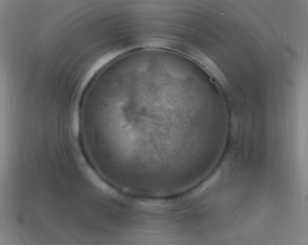 X0000114421036200910161224