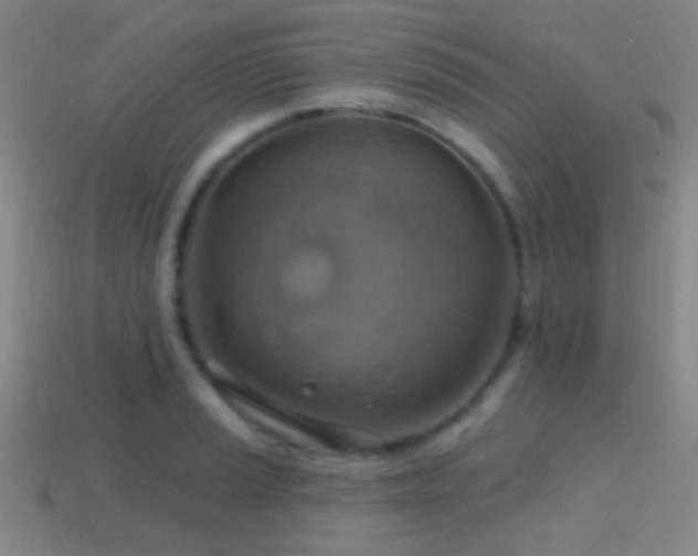 X0000114421037200910161224