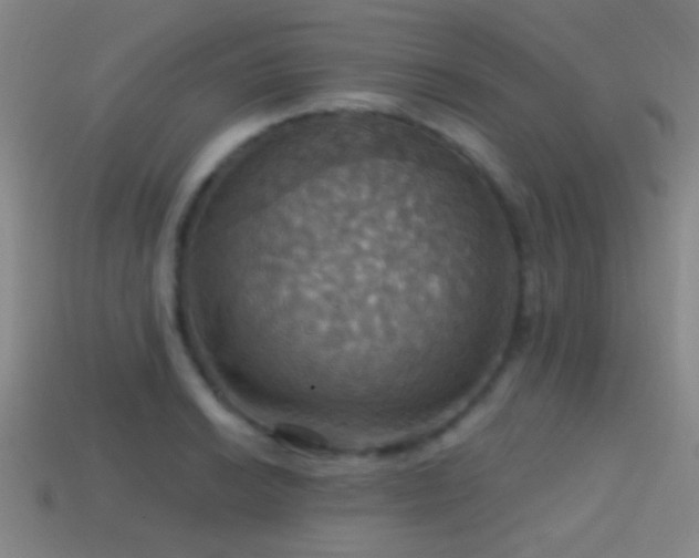 X0000114421038200910161224