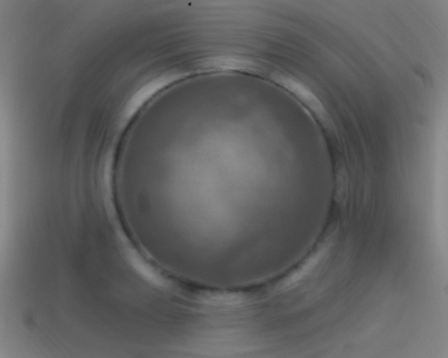 X0000114421039200910161224