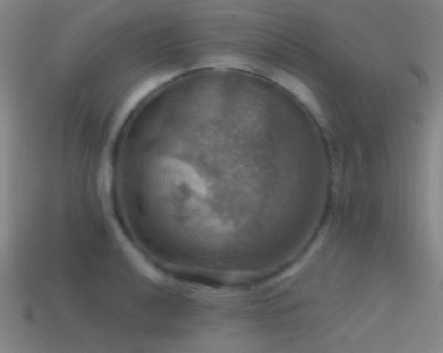 X0000114421040200910161224