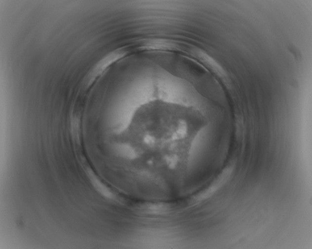 X0000114421041200910161224