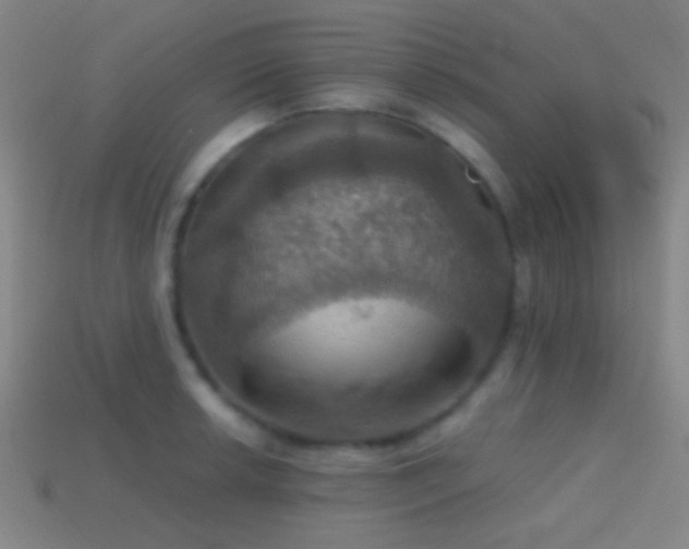 X0000114421042200910161224