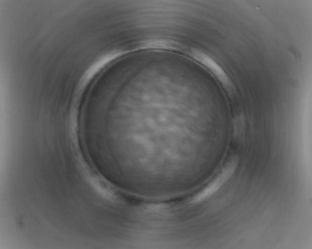 X0000114421043200910161224