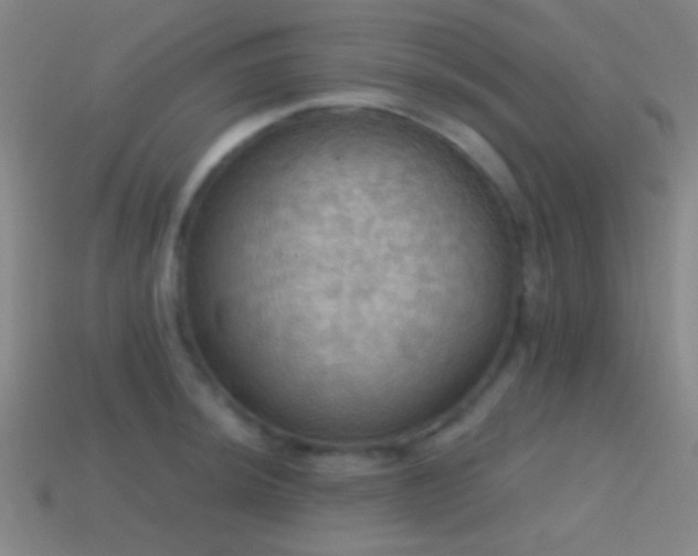X0000114421044200910161224