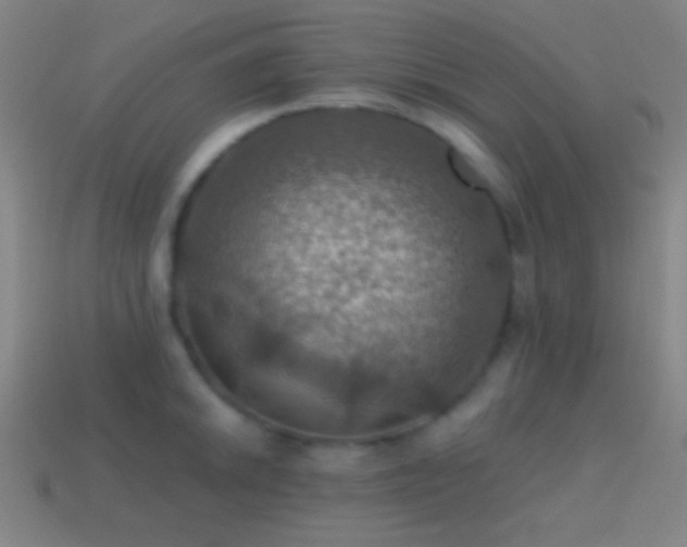 X0000114421046200910161224