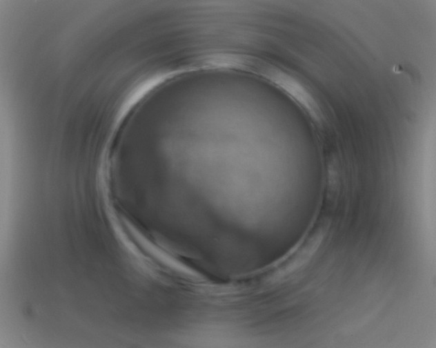 X0000114421047200910161224