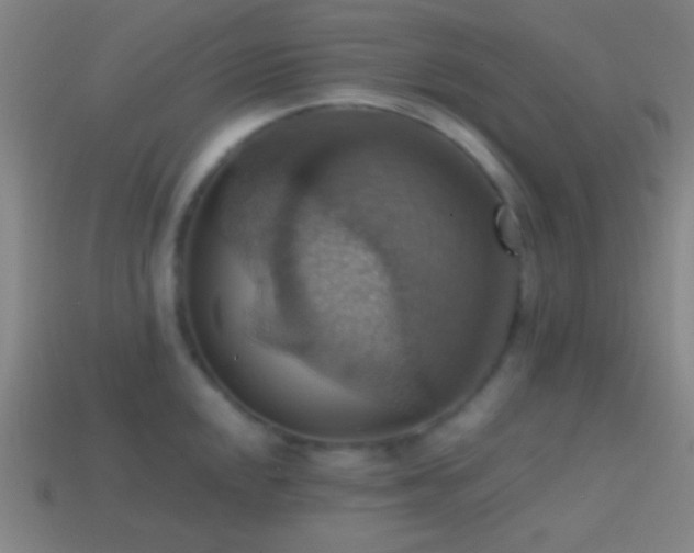 X0000114421048200910161224