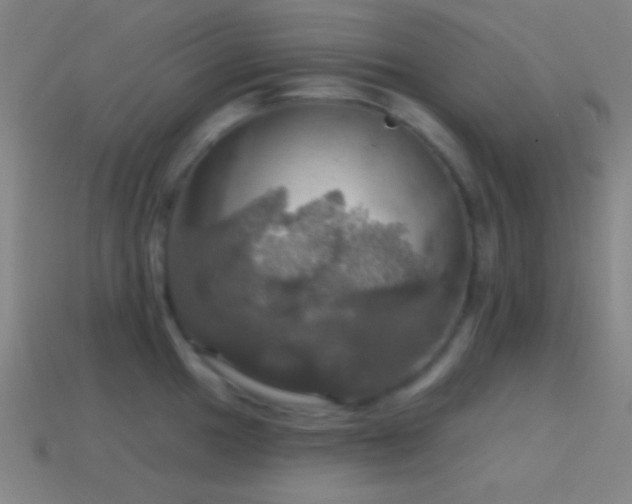 X0000114421049200910161224