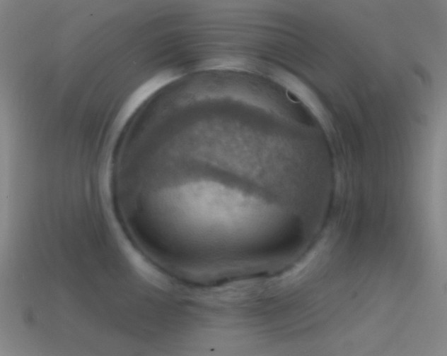 X0000114421050200910161224