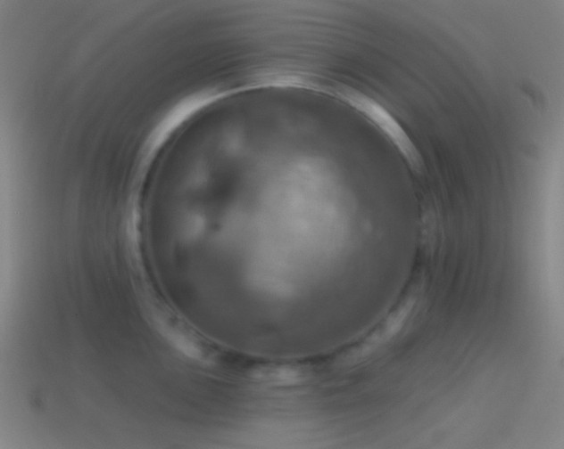X0000114421051200910161224