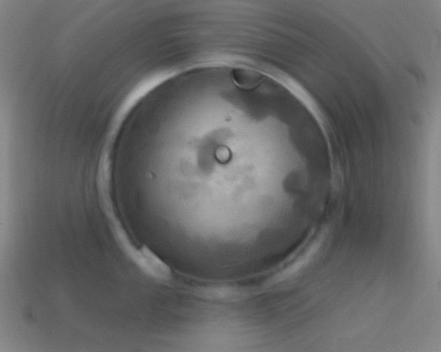 X0000114421053200910161224