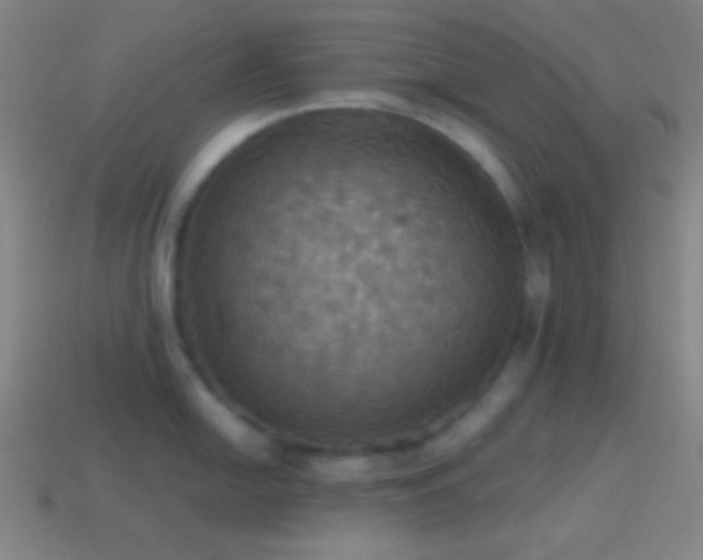 X0000114421054200910161224