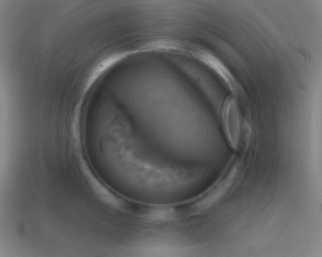 X0000114421055200910161224