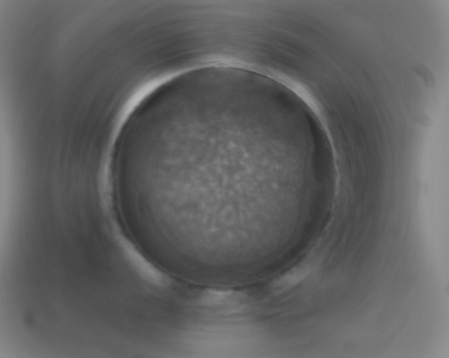 X0000114421056200910161224
