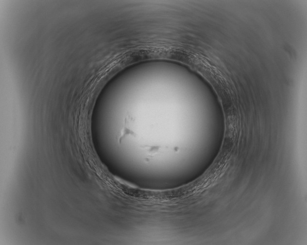 X0000114421057200910161223