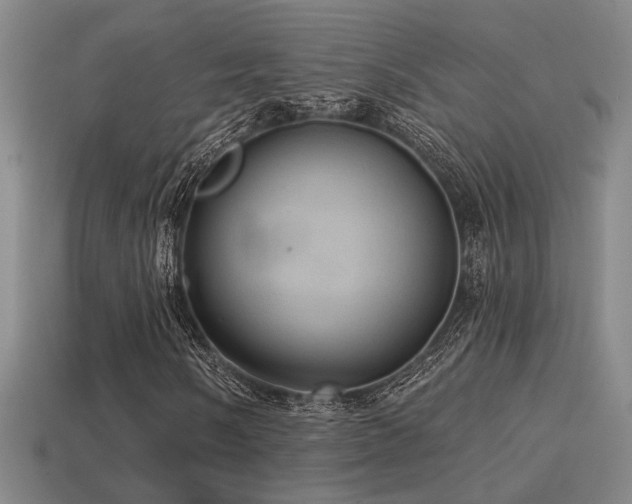 X0000114421058200910161223
