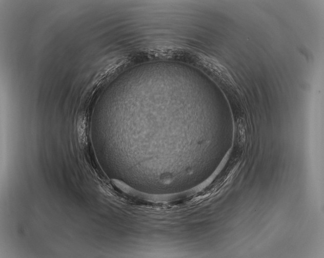 X0000114421060200910161223