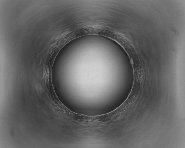 X0000114421061200910161223
