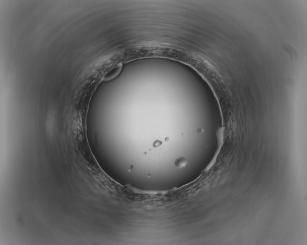 X0000114421062200910161223
