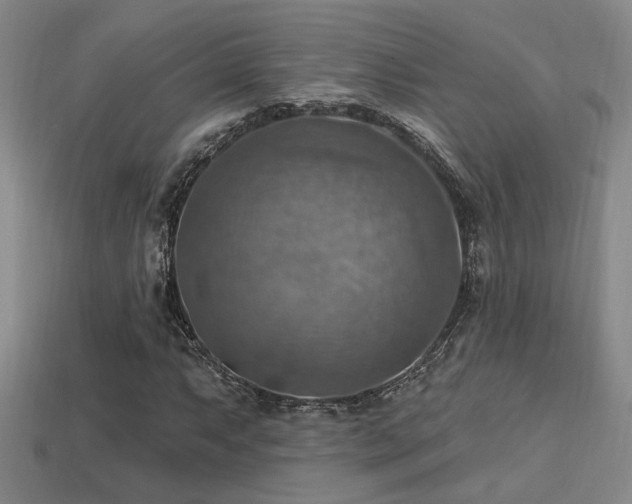 X0000114421063200910161223